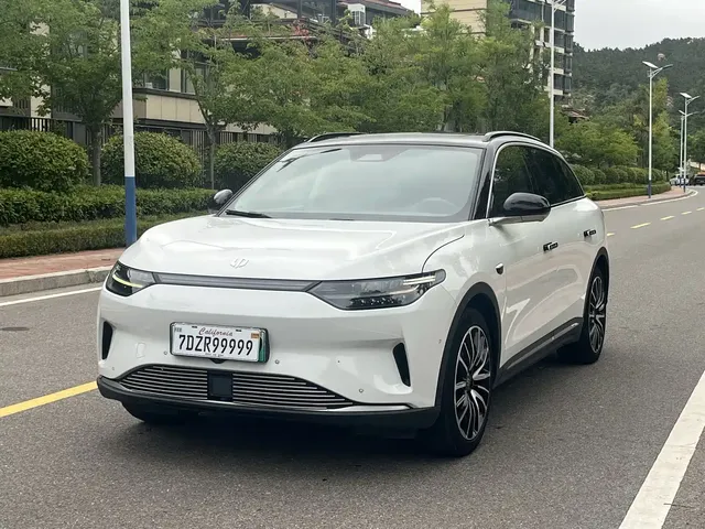 Leapmotor C11 2021 Executive Version 510