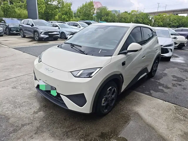 BYD Seagull 2025 Smart Driving Edition 405km Flying Edition
