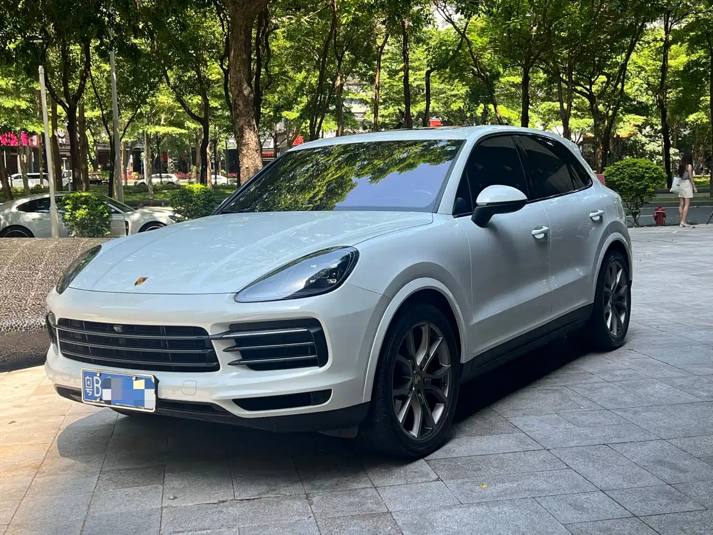 Porsche Cayenne 2023 Cayenne 3.0T Platinum Edition