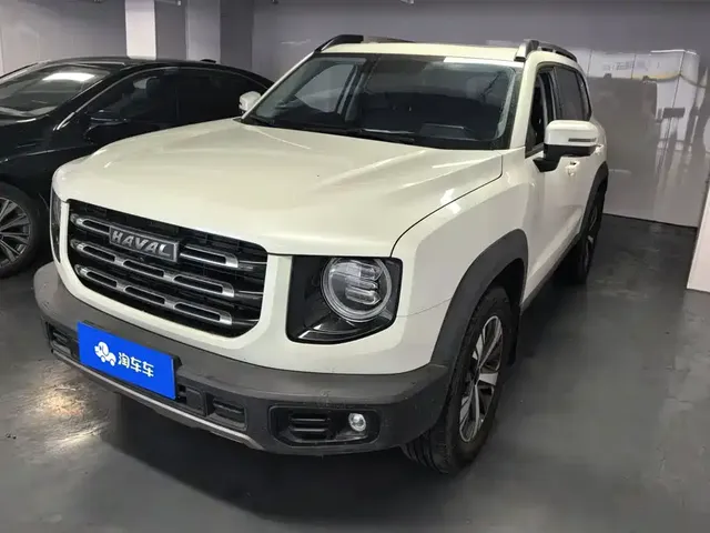 Haval Big Dog 2021 1.5T DCT 2WD Labrador Edition
