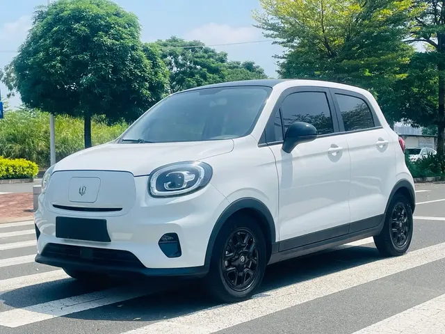 Leapmotor T03 2023 310 Sharing Edition