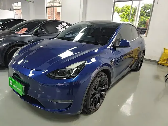 Tesla Model Y 2021 Long Range All-Wheel Drive 3D7