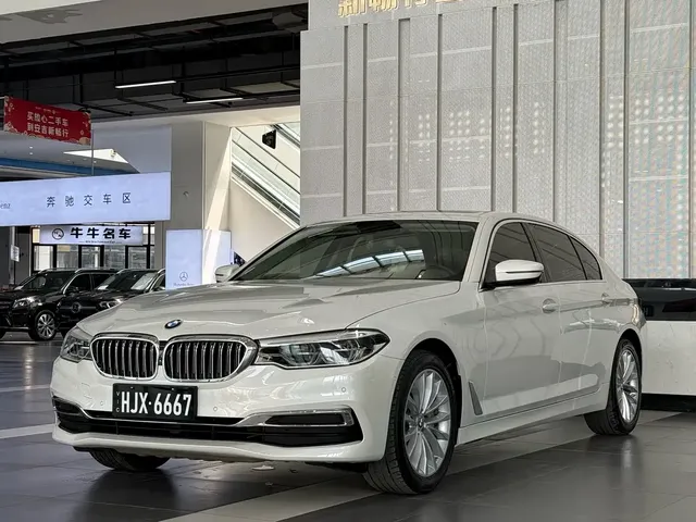 BMW 5 Series 2020 530Li Premium Luxury Package