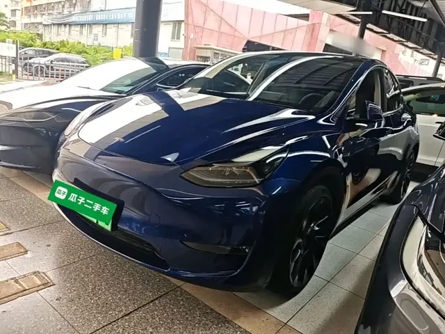 Tesla Model Y 2021 Long Range All-Wheel Drive 3D7