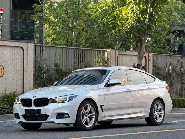 BMW 3 Series GT 2019 320i M Sport Package