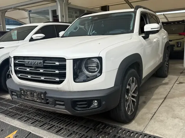Haval Big Dog 2021 1.5T DCT 2WD Border Collie Edition