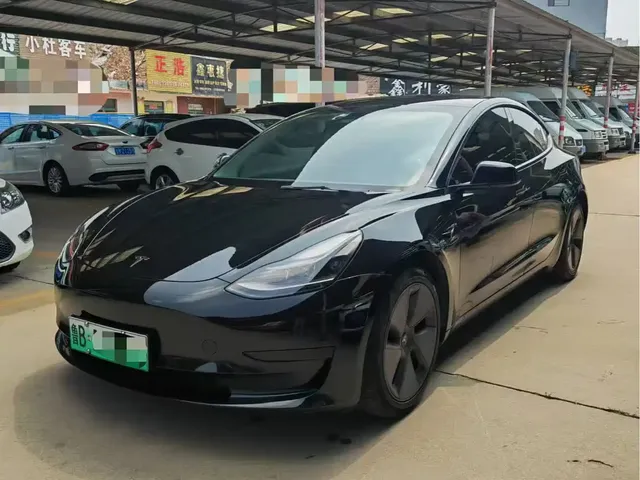 Tesla Model 3 2021 Standard Range Rear-Wheel Drive Upgrade 3D6