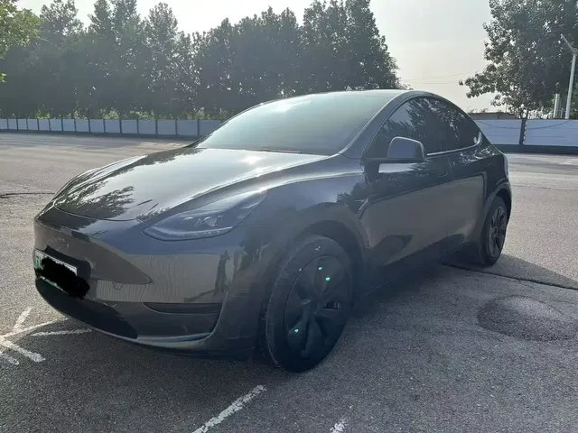 Tesla Model Y 2024 Rear-Wheel Drive Version