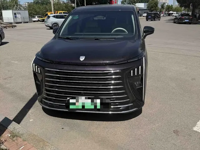 Dongfeng Fengxing Starlight V9 2024 1.5TD 200km Cloud Ladder Series Premium