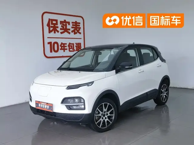Dayun Yuehu 2021 32.85kWh 2WD Elf Edition