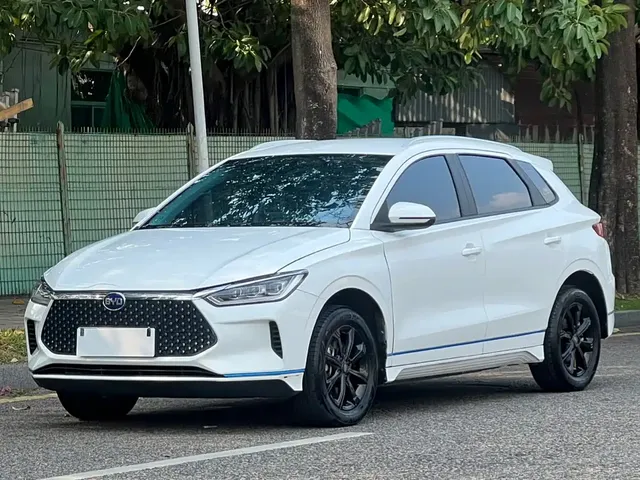 BYD e2 2020 Upgraded Long Range Luxury