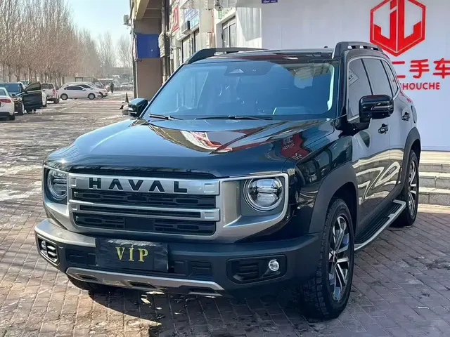 Haval Big Dog 2024 1.5T DCT Border Collie Edition