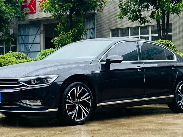 Volkswagen Magotan 2020 330TSI DSG Luxury