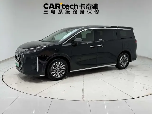 BYD M9 2025 Model 1060 Pilot Edition