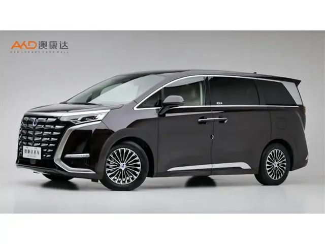 Denza D9 2024 DM-i 980 AWD Flagship