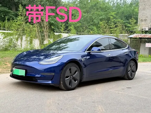 Tesla Model 3 (Import) 2019 Long Range All-Wheel Drive Edition
