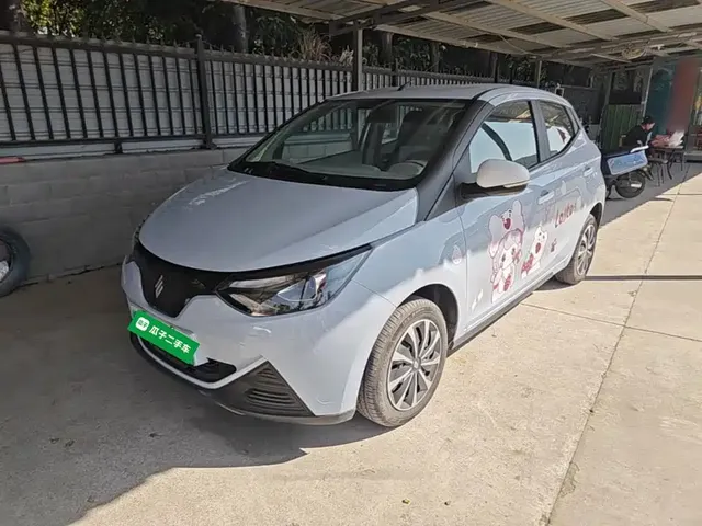JMCG New Energy Little Kirin 2024 201km Comfort Model