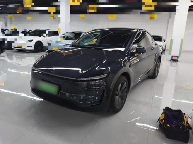 Tesla Model Y 2025 Rear-Wheel Drive