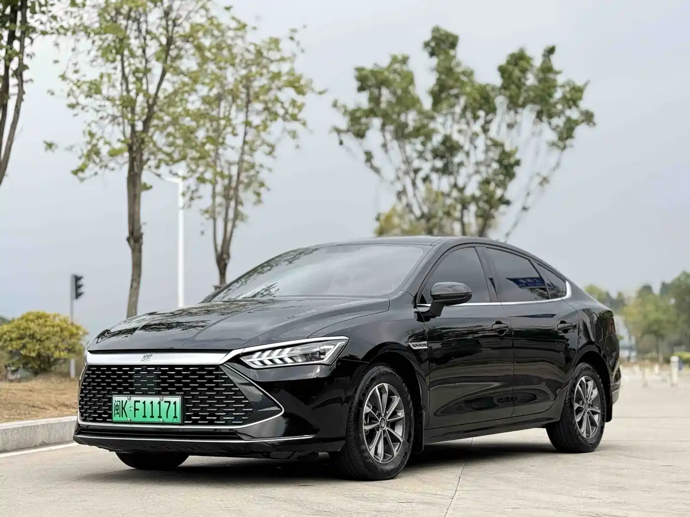 BYD Qin PLUS 2023 Champion Edition DM-i 55KM Leading