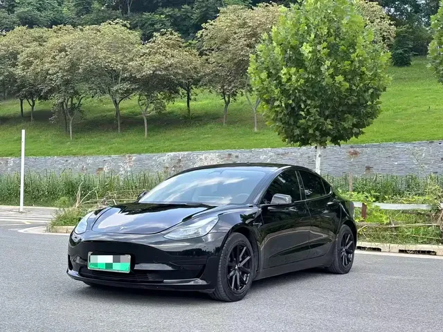 Tesla Model 3 2022 Model Rear-Wheel Drive Version