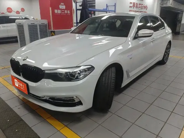 BMW 5 Series 2018 Facelift 530Li Leading Luxury Package