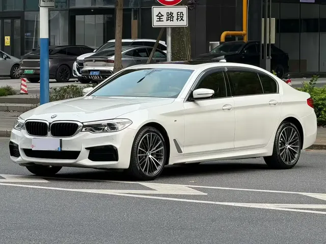 BMW 5 Series 2021 530Li Leading M Sport Package