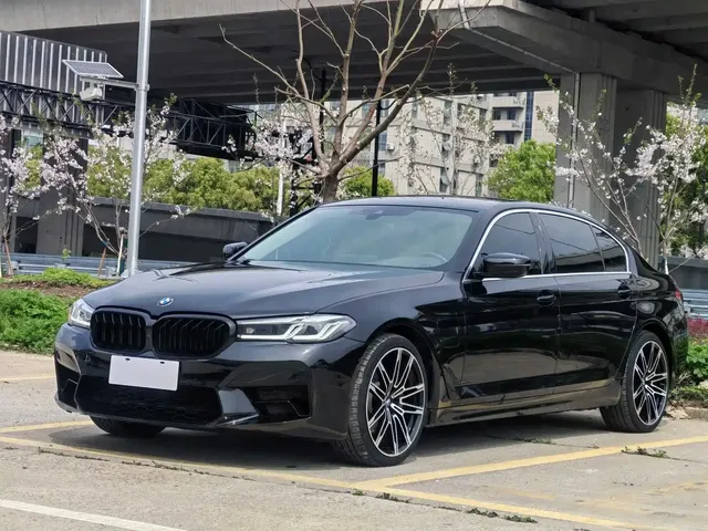 BMW 5 Series New Energy 2021 535Le Luxury Package