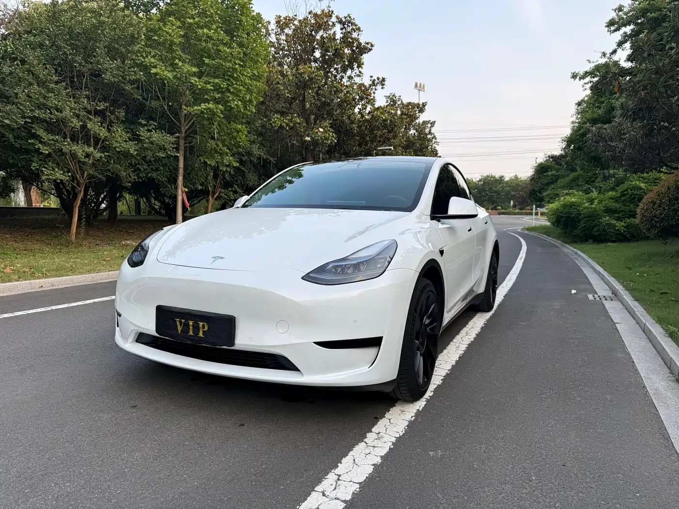 Tesla Model Y 2022 Rear-Wheel Drive Version