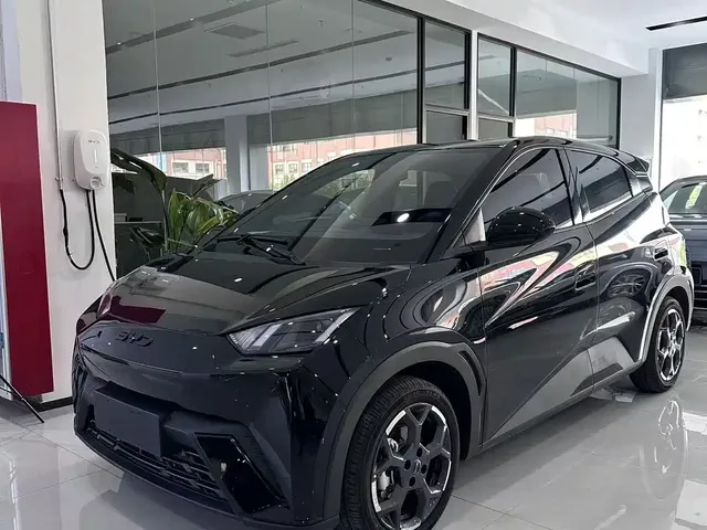 BYD Seagull 2024 Glory Edition 405km Soaring Edition