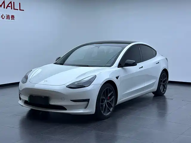 Tesla Model 3 2022 Performance High-Performance AWD
