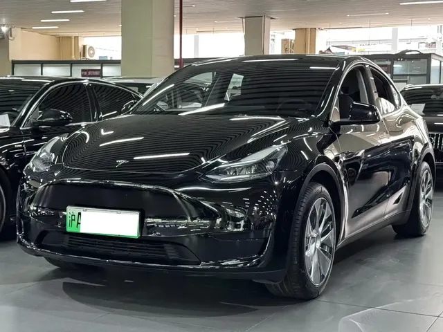 Tesla Model Y 2022 Rear-Wheel Drive Version