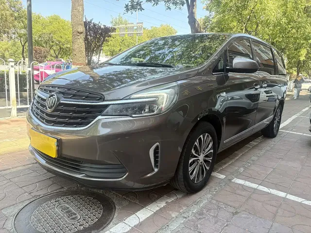 Buick GL8 2021 Land Business Class 652T Luxury