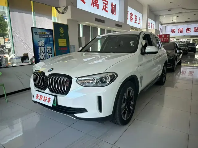 BMW iX3 2021 Leading