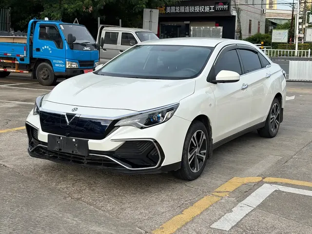 Venucia D60EV 2020 Standard Range Smart Edition