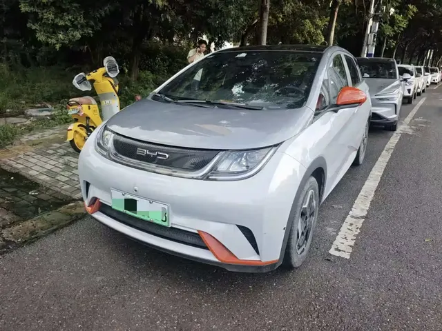 BYD Dolphin 2021 Model 405km Fashion Edition