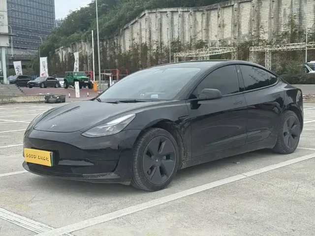 Tesla Model 3 2021 Standard Range Rear-Wheel Drive Upgrade 3D6