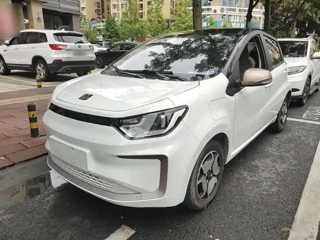 Sehol Flower Fairy 2021 Jimei Edition 302km Luxury
