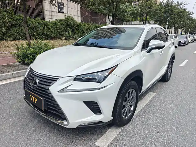 Lexus NX 2018 Model 300h FWD Fengshang Edition China V