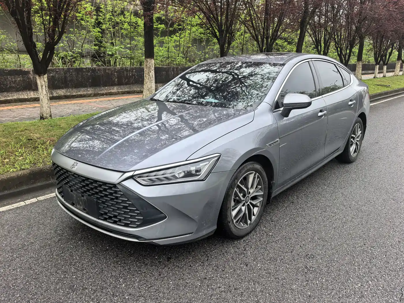 BYD Qin PLUS 2021 DM-i 55KM Premium