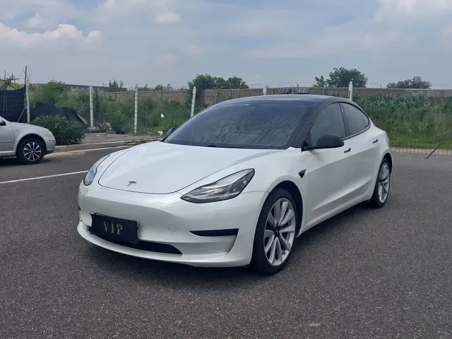 Tesla Model 3 2019 Standard Range Rear-Wheel Drive Upgrade