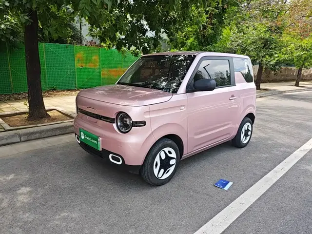 Geely Galaxy Panda 2025 Panda mini 210km Vitality Bear