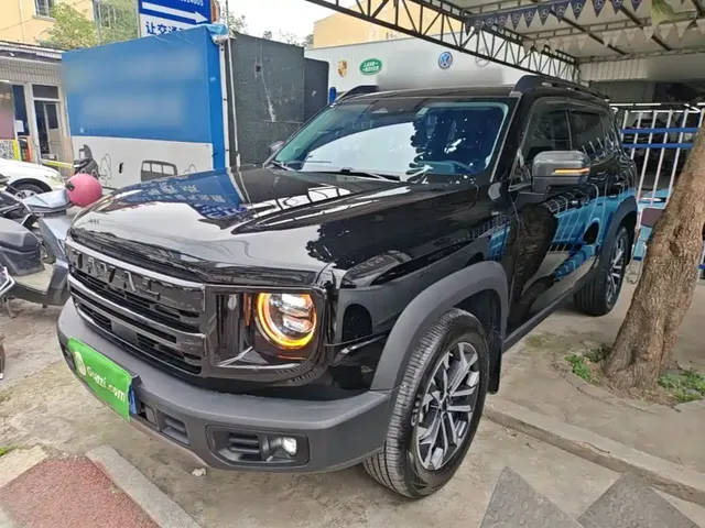 Haval Big Dog 2024 1.5T DCT Border Collie Edition