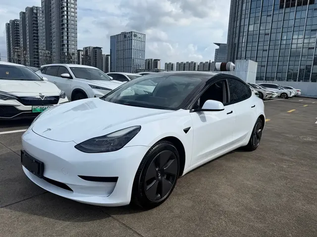 Tesla Model 3 2022 Model Rear-Wheel Drive Version