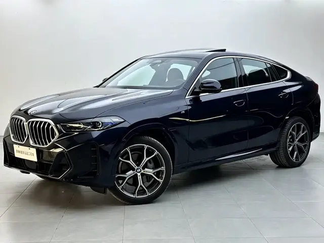 BMW X6 2023 xDrive40i M Sport Package
