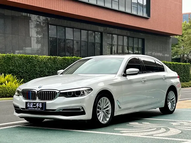 BMW 5 Series 2019 530Li Leading Luxury Package