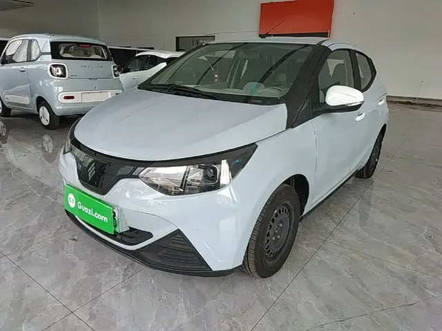 JMCG New Energy Little Kirin 2025 PLUS+ Comfort Model