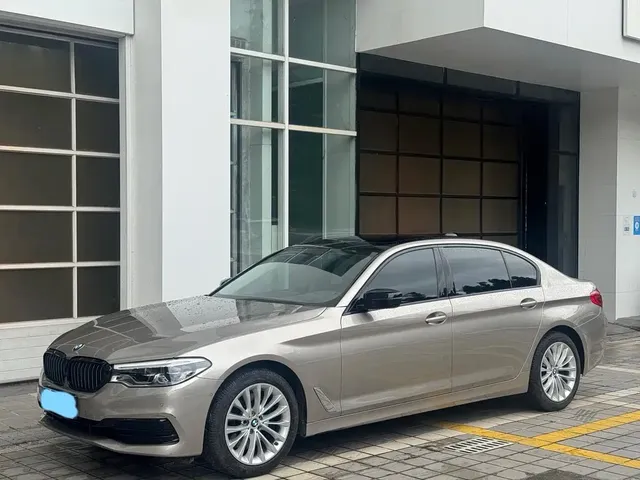 BMW 5 Series 2020 530Li Premium Luxury Package