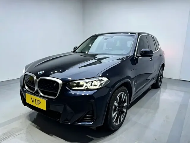 BMW iX3 2023 Leading Type