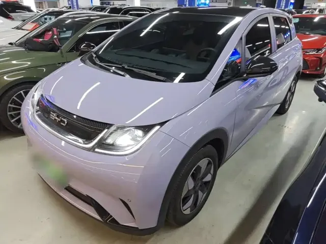 BYD Dolphin 2024 Glory Edition 420km Fashion Edition