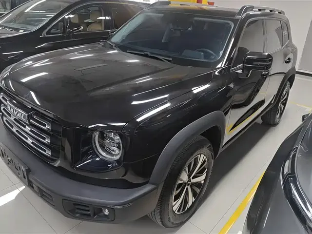 Haval Big Dog 2021 1.5T DCT 2WD Labrador Edition